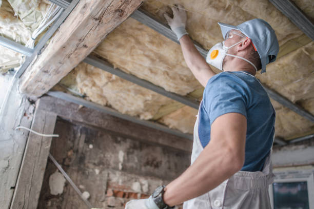 Best Commercial Insulation Contractor  in Corpus Christi, TX